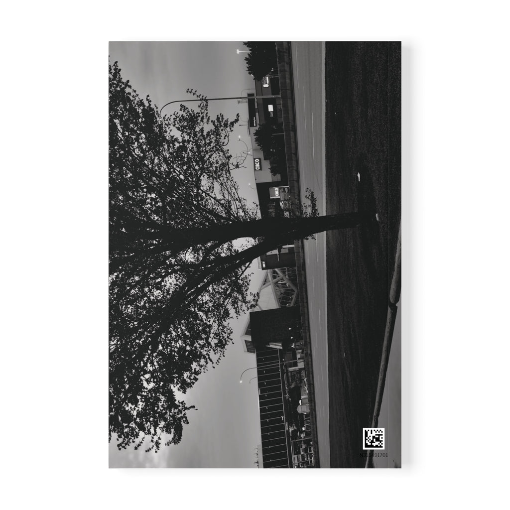A5 Softcover Notebook — Moody Black & White Tree Photography Journal