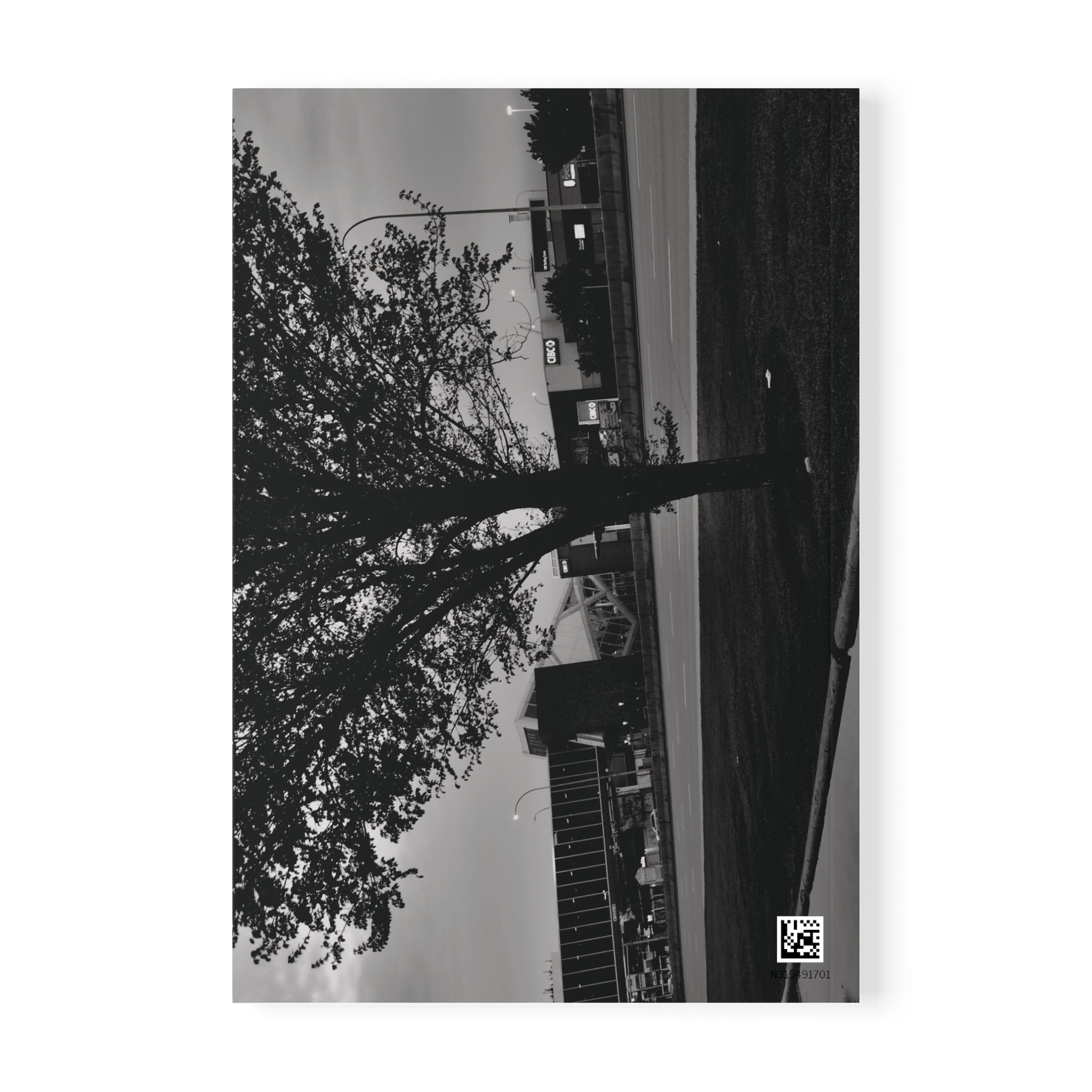 A5 Softcover Notebook — Moody Black & White Tree Photography Journal