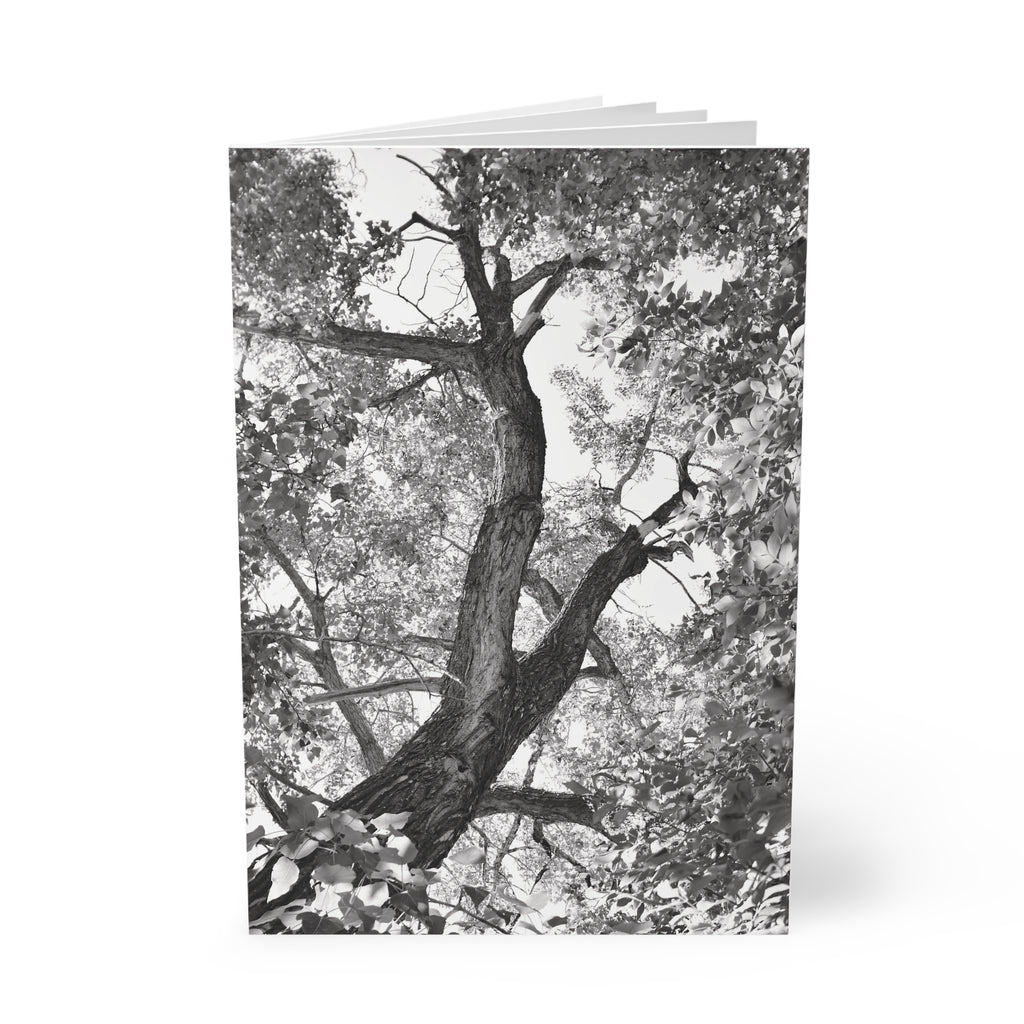 A5 Softcover Notebook — Black Cover with Calgary Alberta Logo & Tree Photography