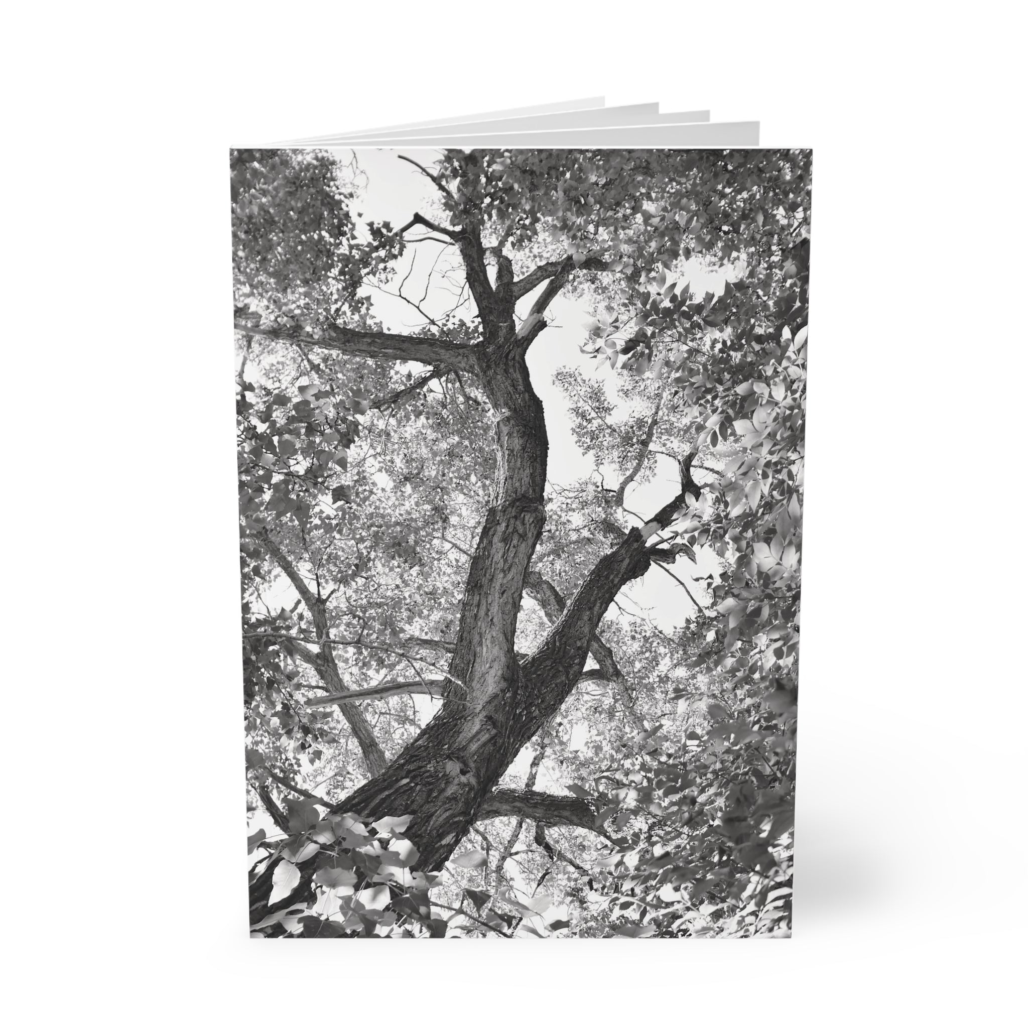 A5 Softcover Notebook — Black Cover with Calgary Alberta Logo & Tree Photography